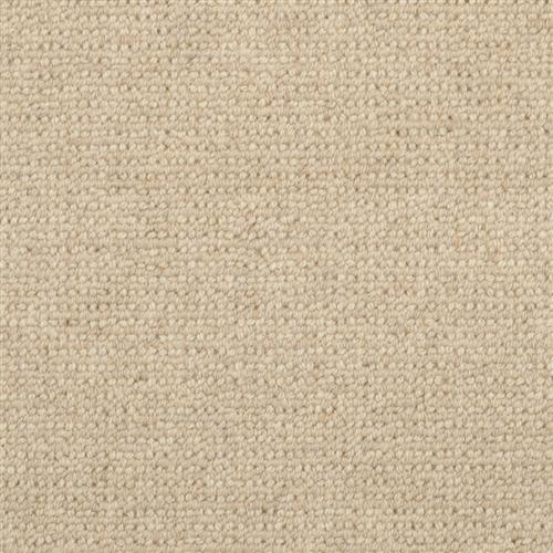 Dublin 9242 In 525 Brennan Carpet Flooring | Masland Carpets