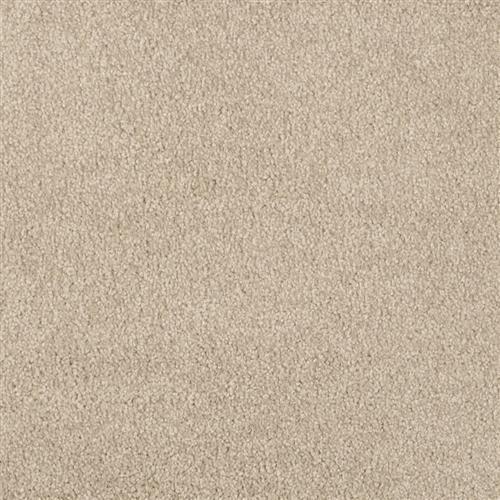 Key West 9497 In 525 Alphano Carpet Flooring | Masland Carpets