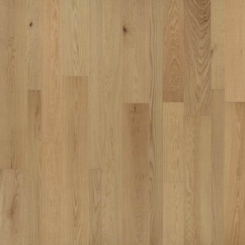 Monterey Hardwood in Adobe in Hardwood