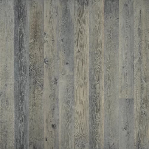 True Collection in Silver Needle Oak in Hardwood