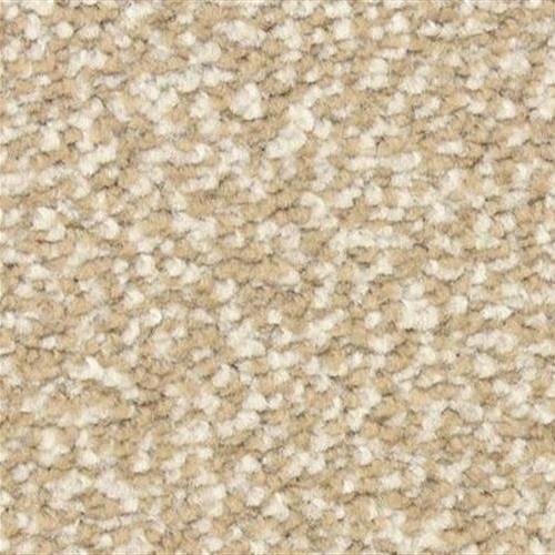 Spirit 6129 in 75008 Thunder   Carpet Flooring | Dixie Home