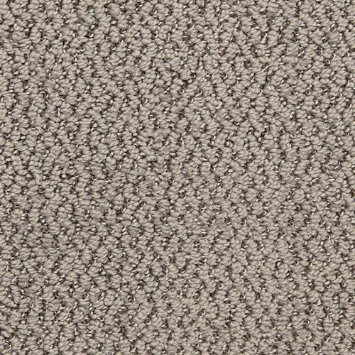 Hideaway 6474 in 82366 Wedge   Carpet Flooring | Dixie Home