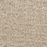 Aspects 6872 in 32049 Tarnished Carpet Flooring | Dixie Home