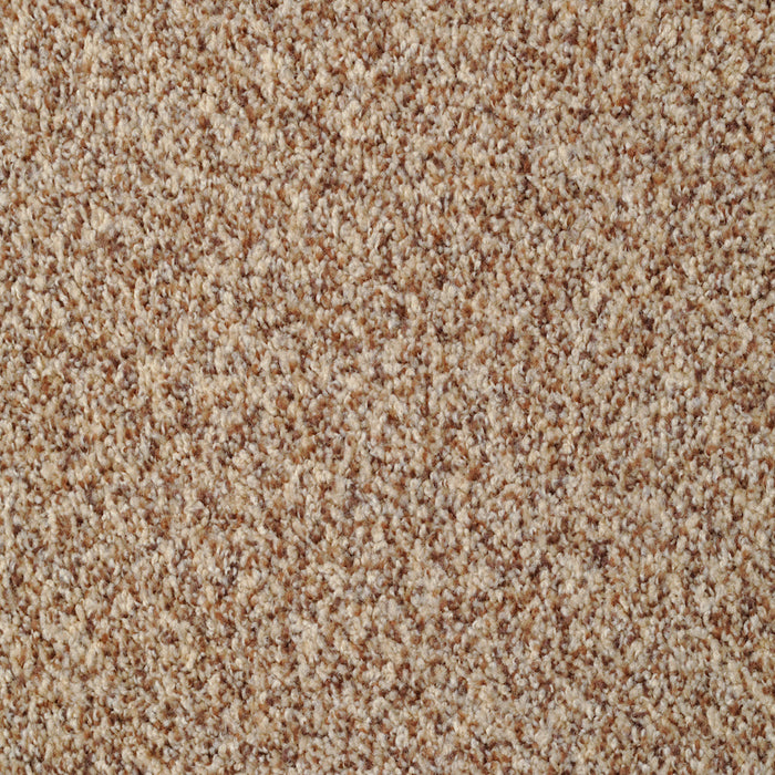 Bombay 40220 in 343 Sumptuous Teak  Carpet Flooring | Dixie Home