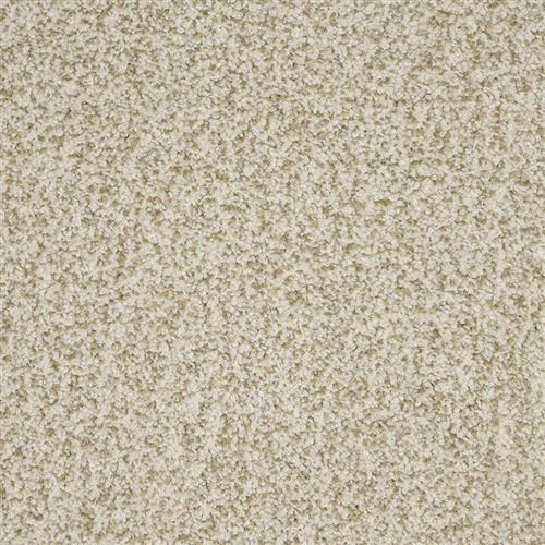 New Age D031 in 13112 Windfall   Carpet Flooring | Dixie Home