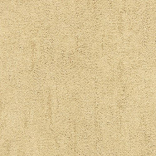 Desert Vista 451DV in 748DV Carpet Flooring | Fabrica