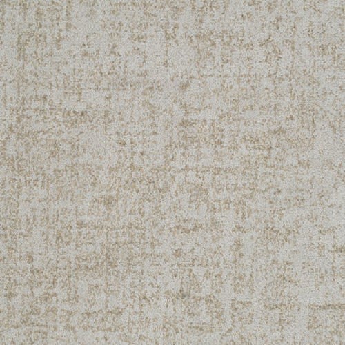 Hollywood Nights 732HN in 747HN Carpet Flooring | Fabrica