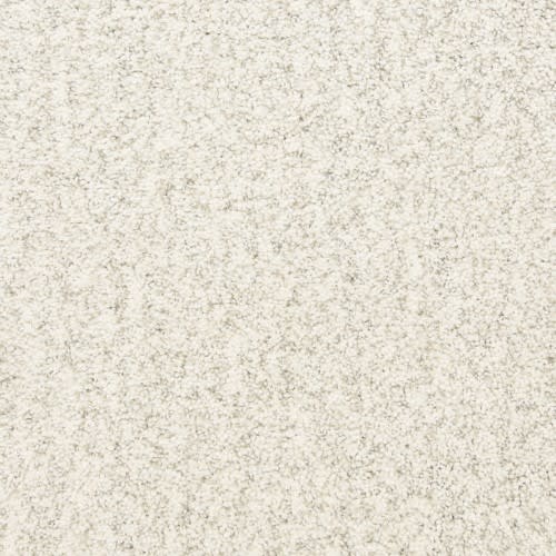 Pacific Grove 808PG in 711PG Carpet Flooring | Fabrica