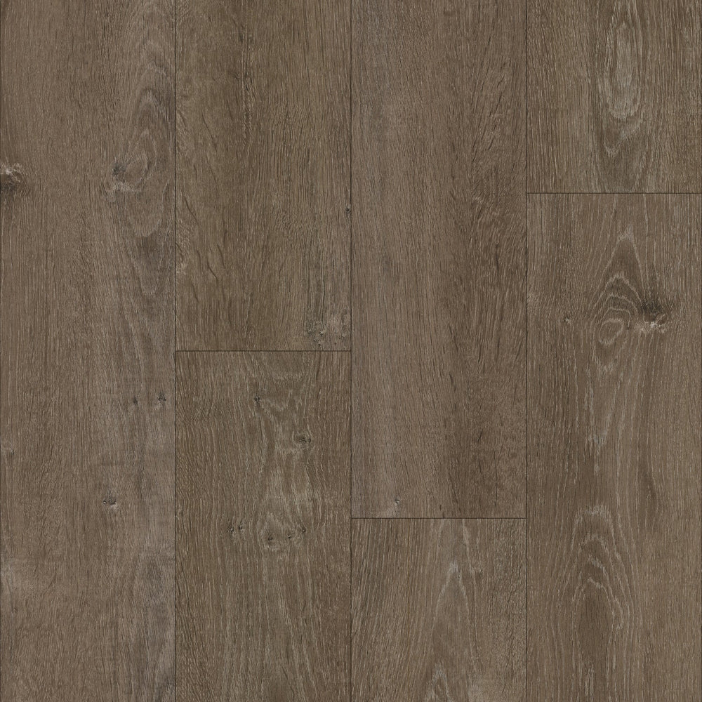 eNergy Flex - Dry Back in Lunar Oak