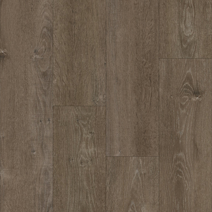 eNergy Flex - Dry Back in Lunar Oak